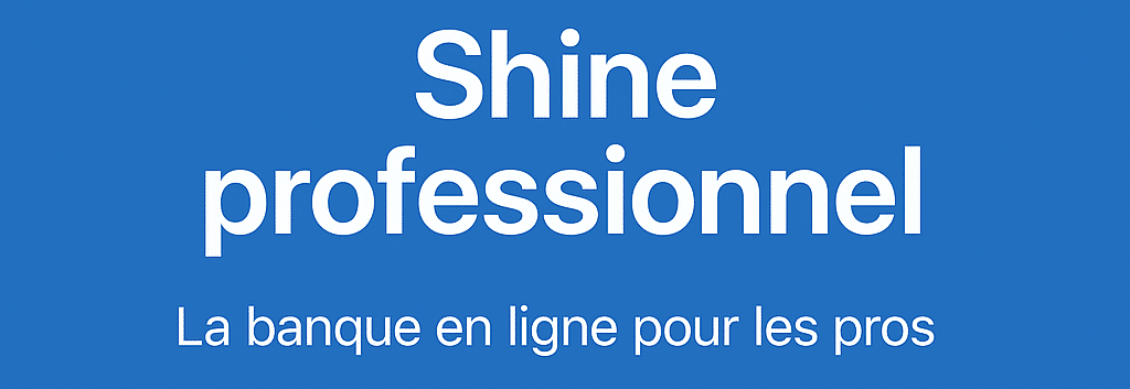 Shine Professionnel