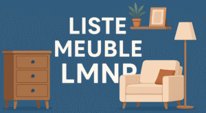 Liste meuble LMNP
