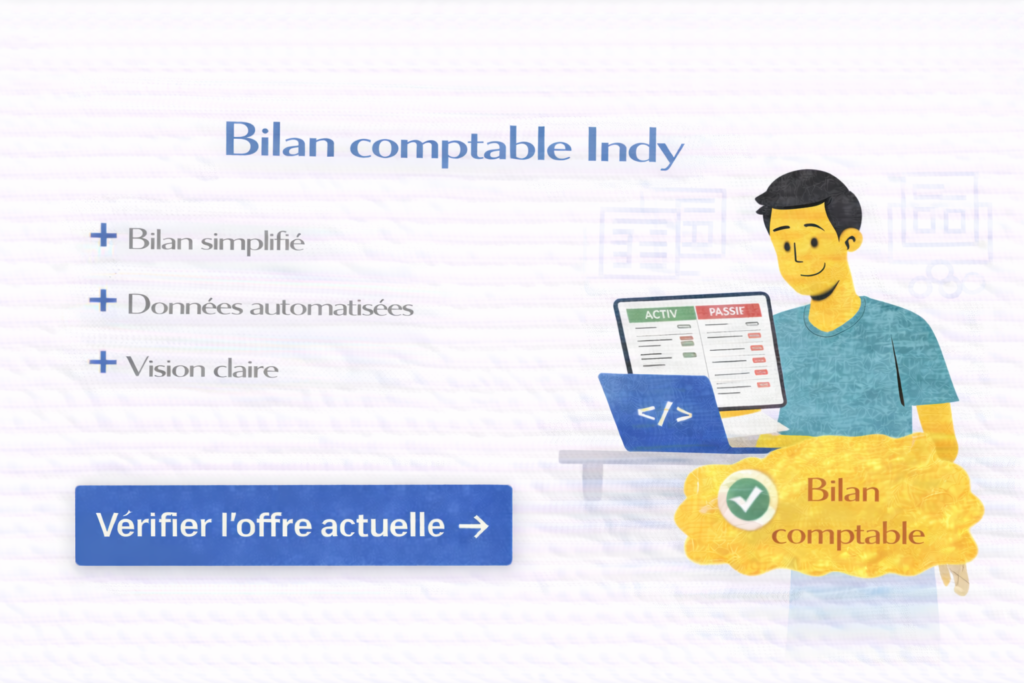 Bilan comptable Indy